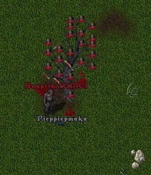snuptik.jpg